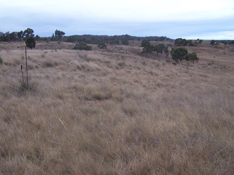 243 Off Oallen Ford Road, Windellama NSW 2580