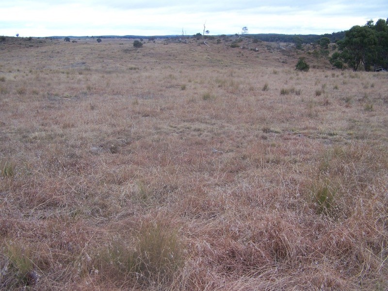 243 Off Oallen Ford Road, Windellama NSW 2580