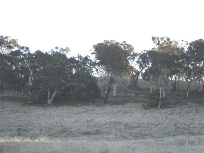 42 Loloma Place, Goulburn NSW 2580