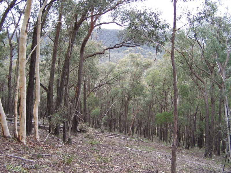 163 Arthurs Road, Towrang NSW 2580