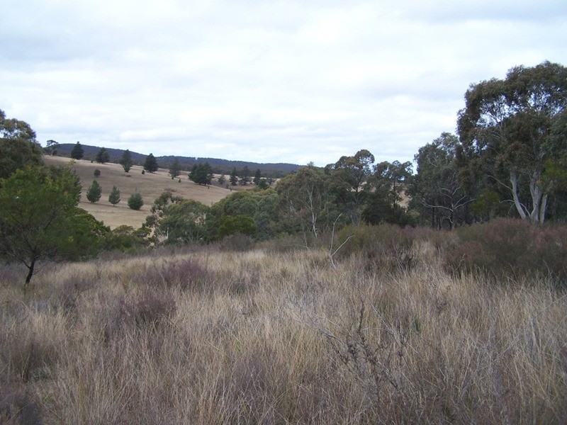 163 Arthurs Road, Towrang NSW 2580