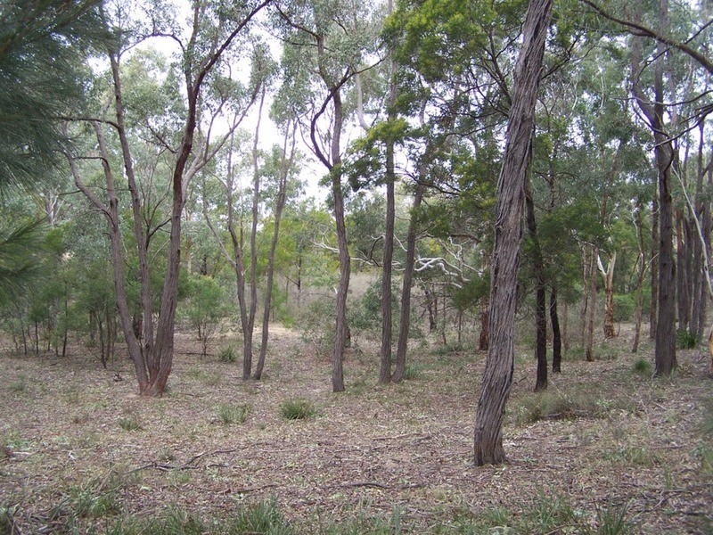 163 Arthurs Road, Towrang NSW 2580