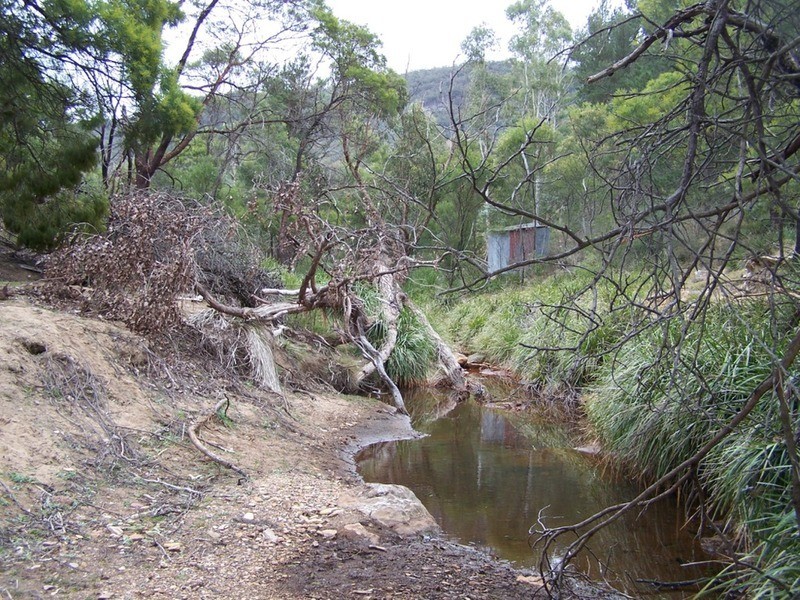 163 Arthurs Road, Towrang NSW 2580