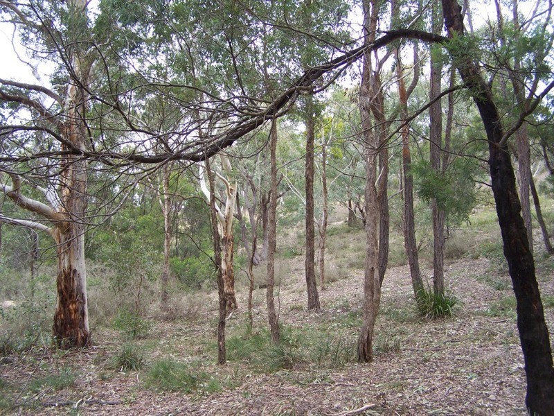 163 Arthurs Road, Towrang NSW 2580