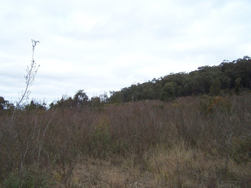 163 Arthurs Road, Towrang NSW 2580