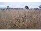 “Yaccabri”  Lot 10 Woodhouselee Road, Woodhouselee NSW 2580
