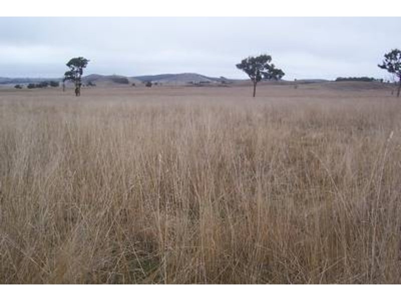 “Yaccabri”  Lot 10 Woodhouselee Road, Woodhouselee NSW 2580