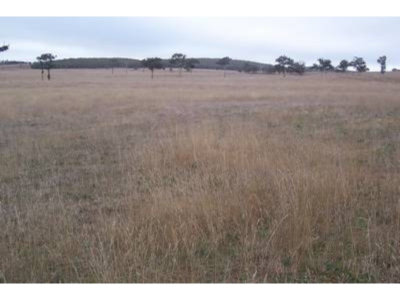 “Yaccabri”  Lot 10 Woodhouselee Road, Woodhouselee NSW 2580