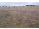 “Yaccabri”  Lot 10 Woodhouselee Road, Woodhouselee NSW 2580
