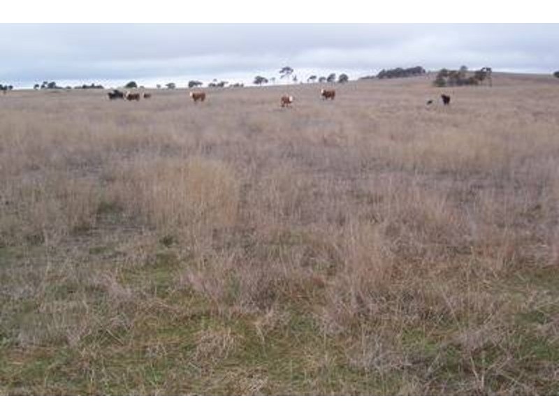 “Yaccabri”  Lot 10 Woodhouselee Road, Woodhouselee NSW 2580