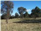 1992 Range Road, Mummel NSW 2580