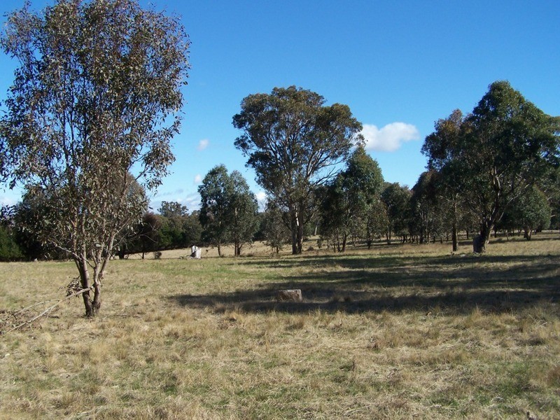 1992 Range Road, Mummel NSW 2580