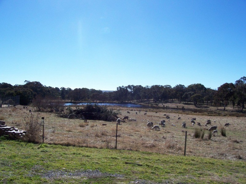 273 Hunts Lane, Parkesbourne NSW 2580