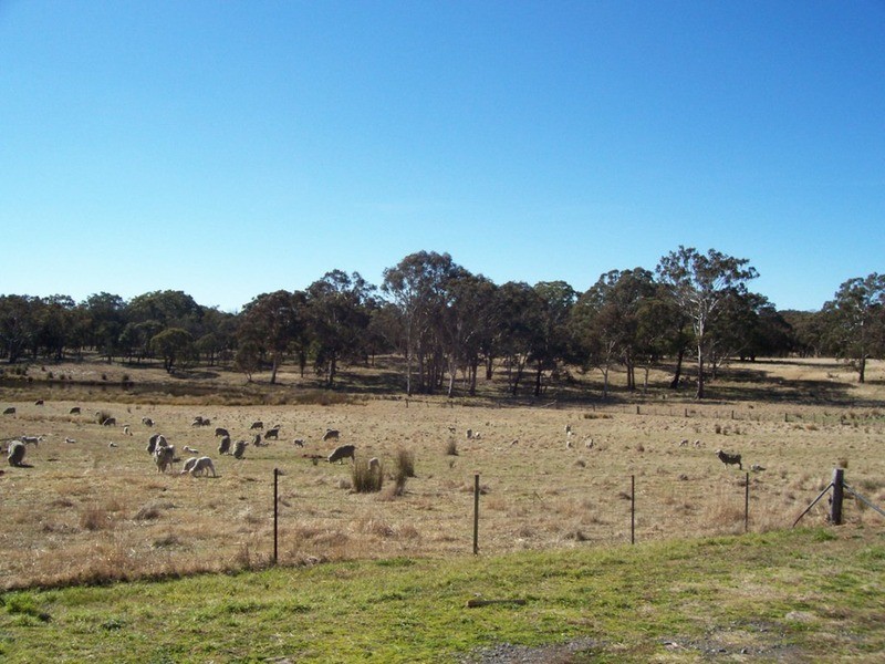 273 Hunts Lane, Parkesbourne NSW 2580