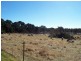 273 Hunts Lane, Parkesbourne NSW 2580