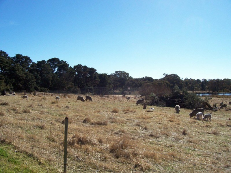 273 Hunts Lane, Parkesbourne NSW 2580