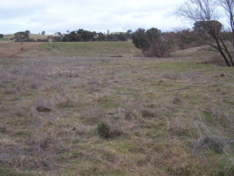 Lot 200 Lachlan Street, Bigga NSW 2583