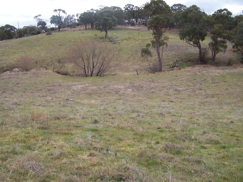 Lot 200 Lachlan Street, Bigga NSW 2583