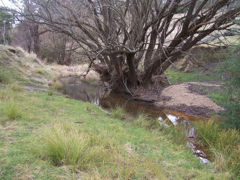 Lot 200 Lachlan Street, Bigga NSW 2583