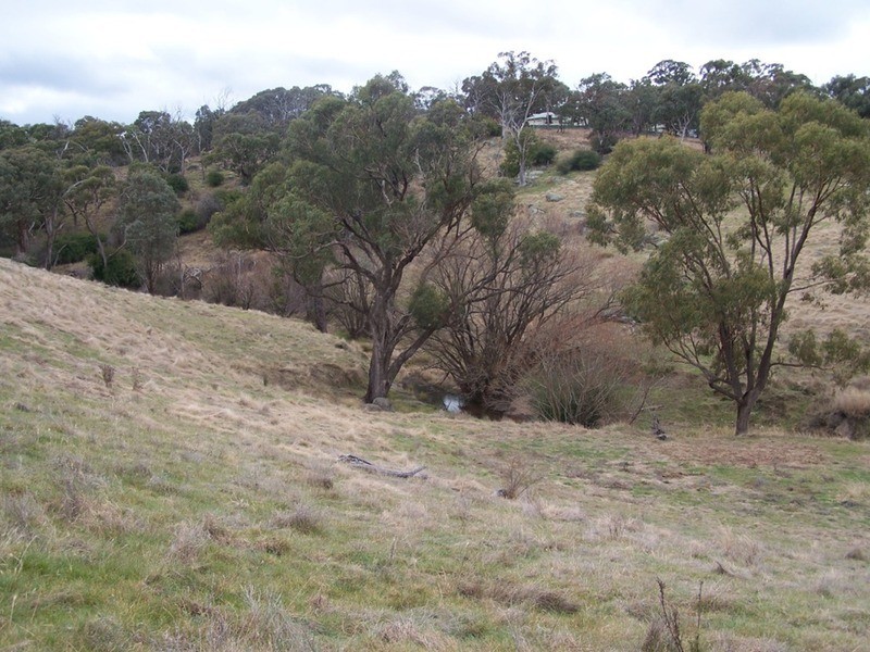 Lot 200 Lachlan Street, Bigga NSW 2583