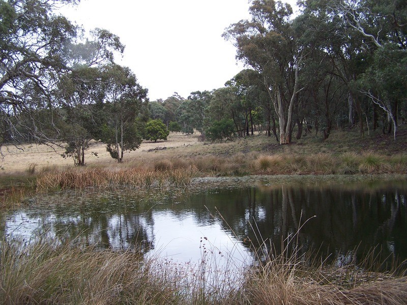 305 (Lot 2) Readers Road, Quialigo NSW 2580