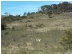 Tarlo Vale Greywood Siding Road, Woodhouselee NSW 2580