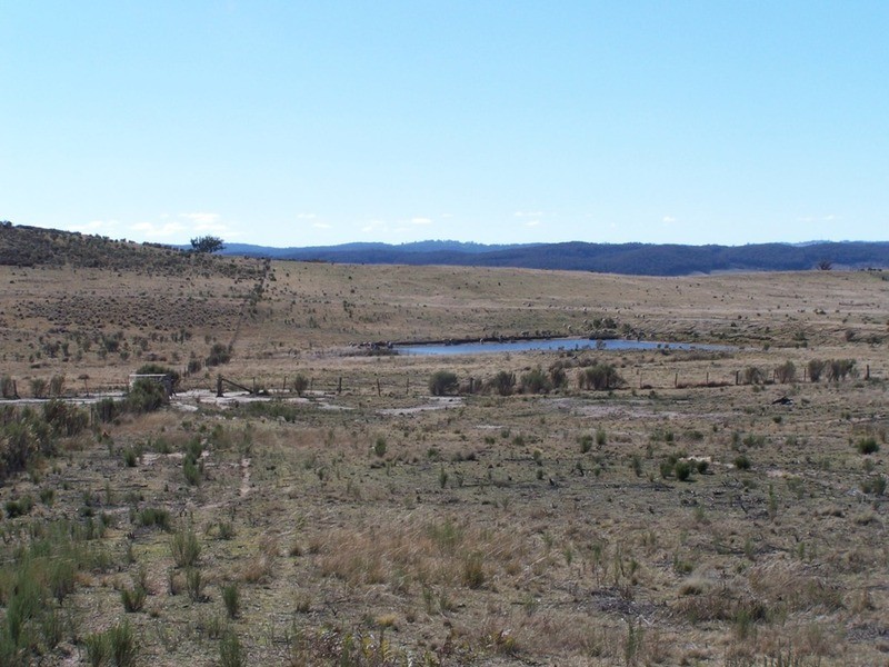 Tarlo Vale Greywood Siding Road, Woodhouselee NSW 2580