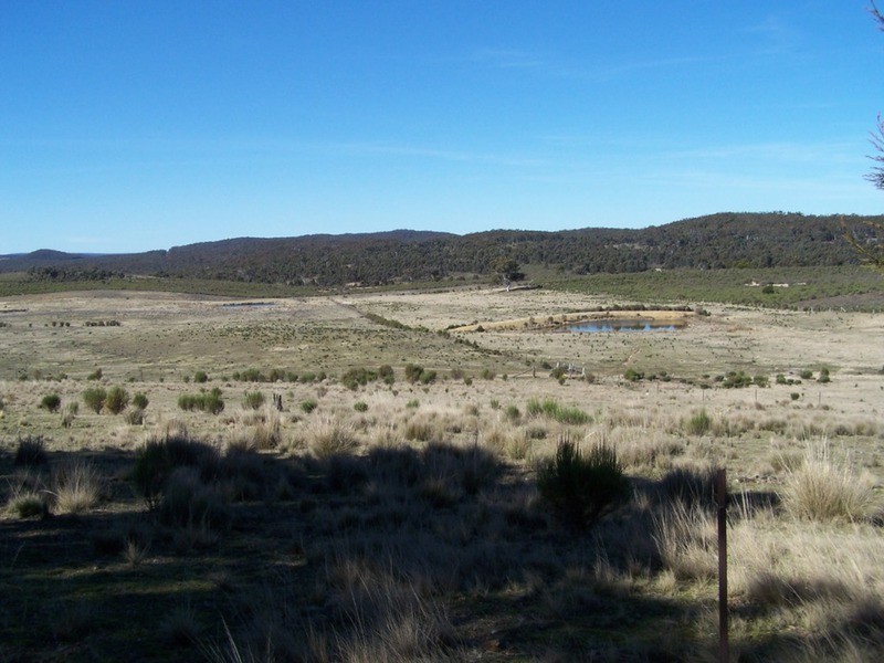 Tarlo Vale Greywood Siding Road, Woodhouselee NSW 2580