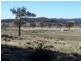 Tarlo Vale Greywood Siding Road, Woodhouselee NSW 2580