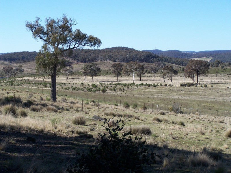 Tarlo Vale Greywood Siding Road, Woodhouselee NSW 2580