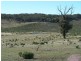 Tarlo Vale Greywood Siding Road, Woodhouselee NSW 2580