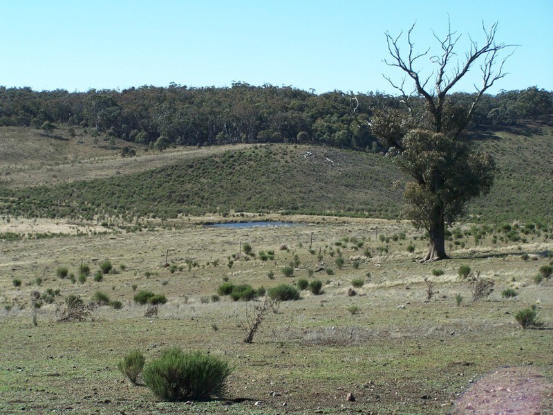 Tarlo Vale Greywood Siding Road, Woodhouselee NSW 2580