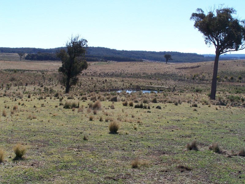 Tarlo Vale Greywood Siding Road, Woodhouselee NSW 2580