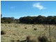 Tarlo Vale Greywood Siding Road, Woodhouselee NSW 2580