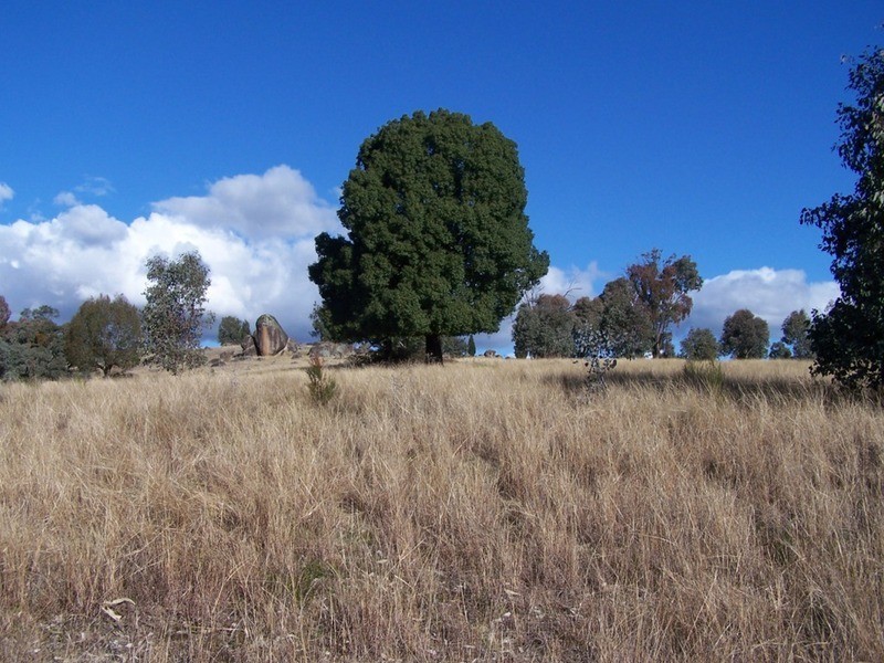 Lot 2 Foggs Crossing Road, Bigga NSW 2583