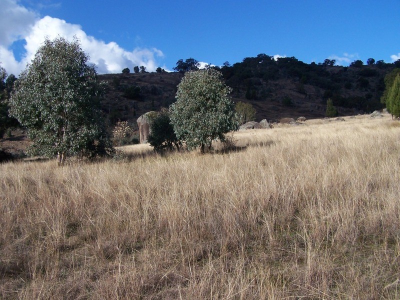 Lot 2 Foggs Crossing Road, Bigga NSW 2583