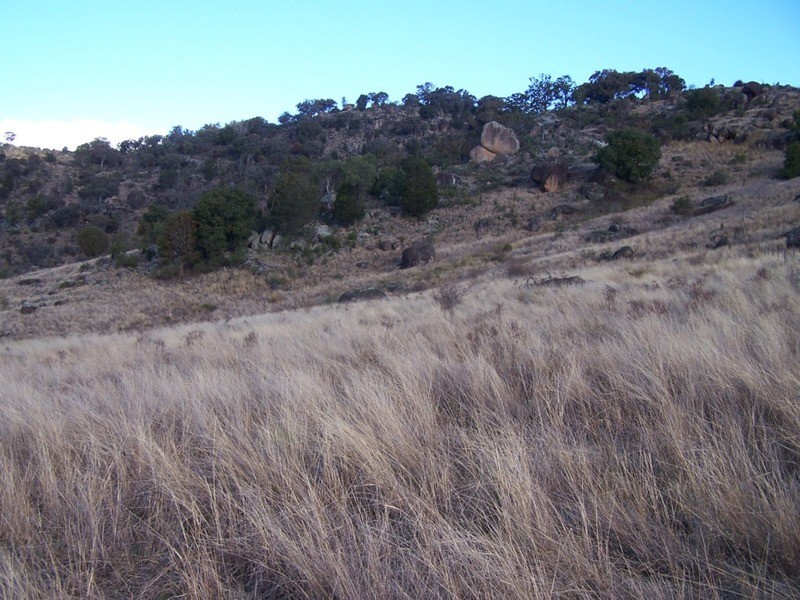 Lot 2 Foggs Crossing Road, Bigga NSW 2583