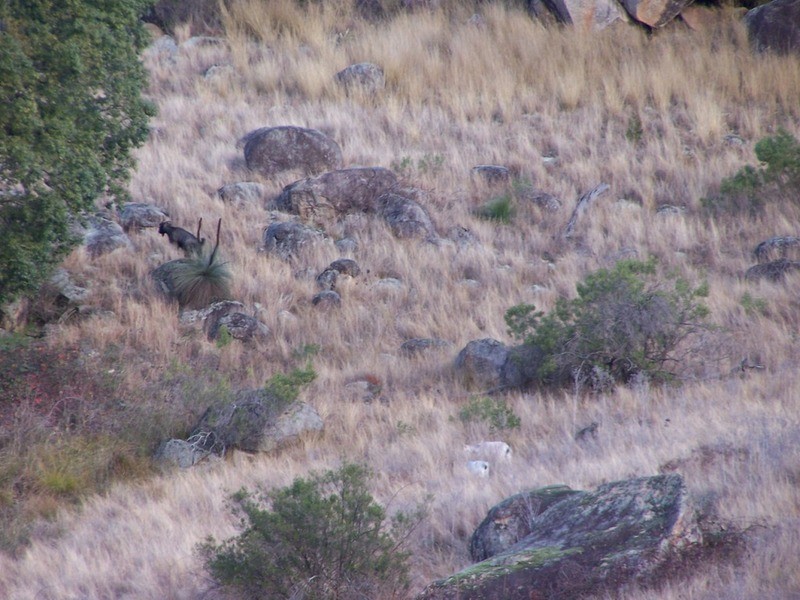 Lot 2 Foggs Crossing Road, Bigga NSW 2583