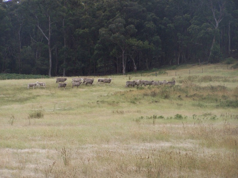 1400 Rhyanna Road, Goulburn NSW 2580