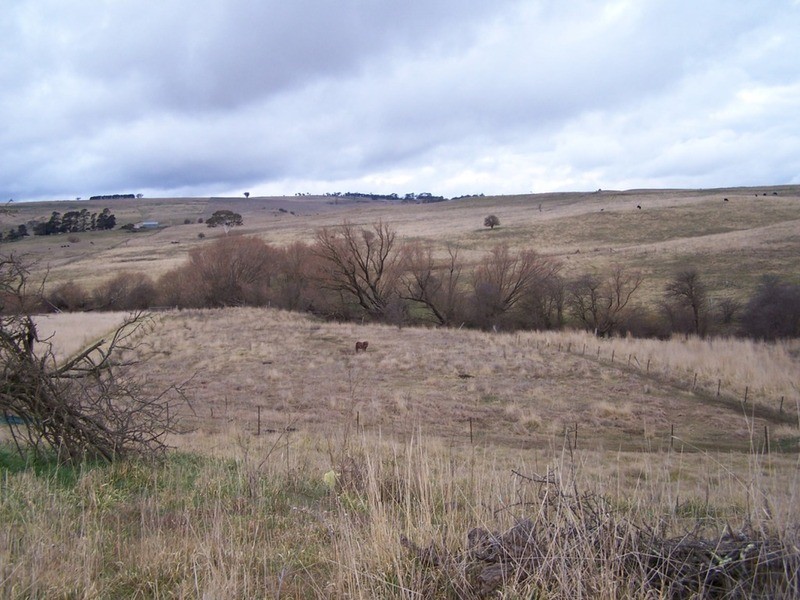 Lot 116 Halls Road, Taralga NSW 2580