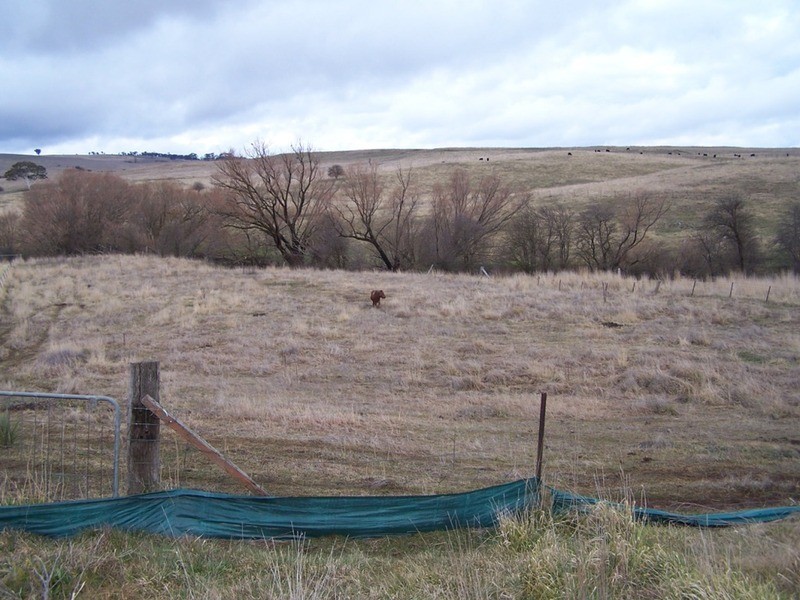 Lot 116 Halls Road, Taralga NSW 2580