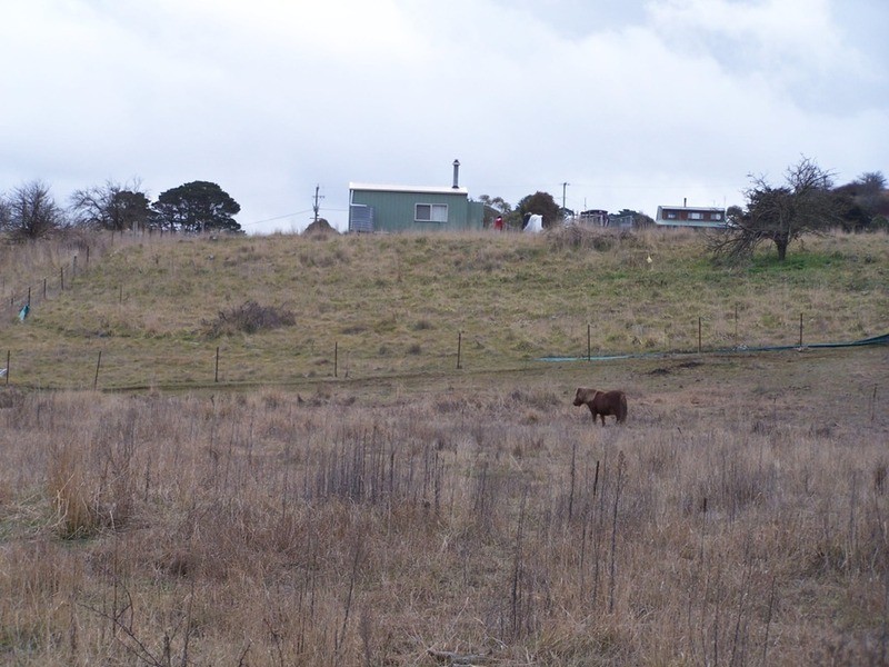 Lot 116 Halls Road, Taralga NSW 2580