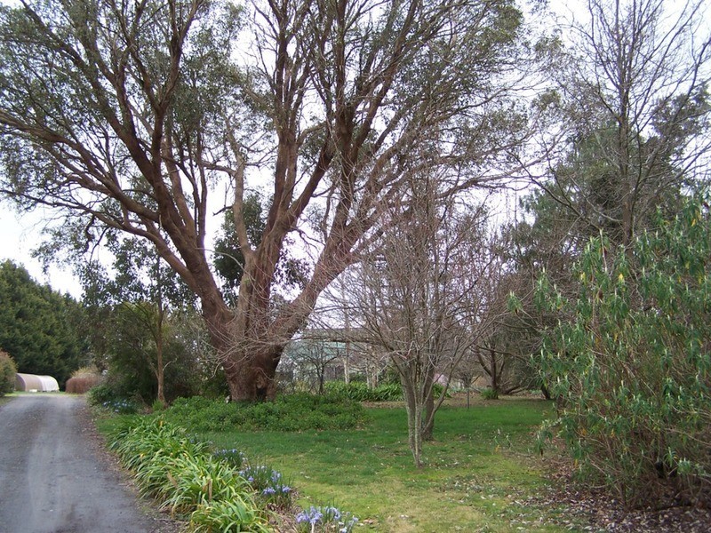 “Aloomba” Laggan Road, Laggan NSW 2583