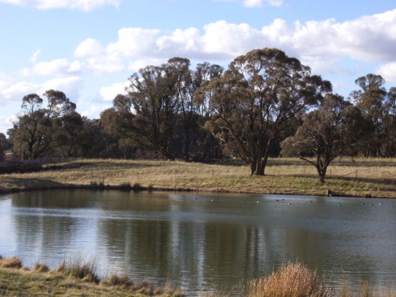 “Aloomba” Laggan Road, Laggan NSW 2583