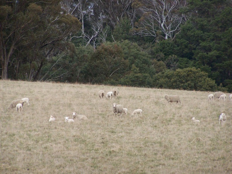 “Aloomba” Laggan Road, Laggan NSW 2583