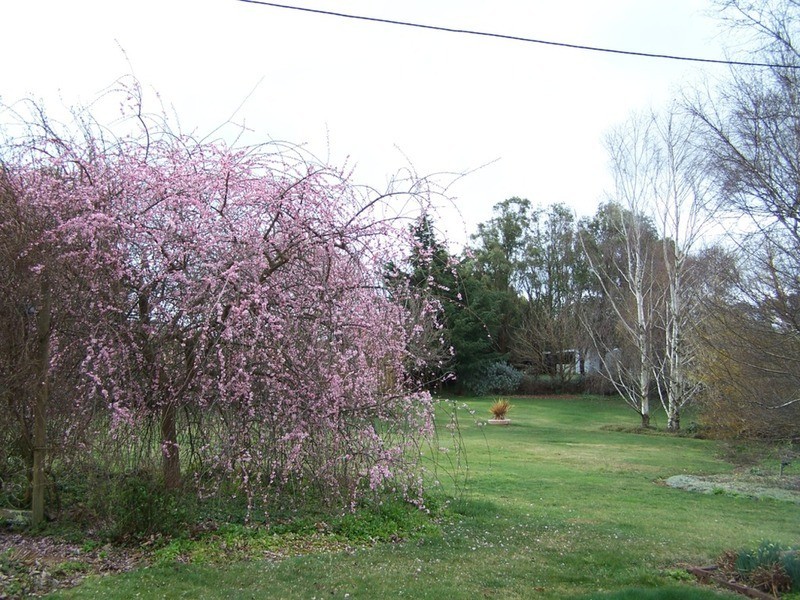 “Aloomba” Laggan Road, Laggan NSW 2583