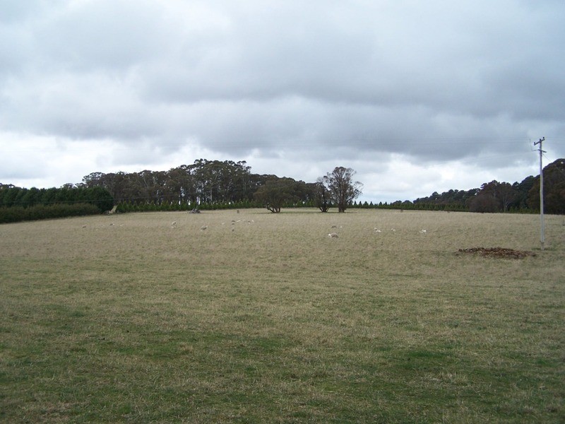 “Aloomba” Laggan Road, Laggan NSW 2583