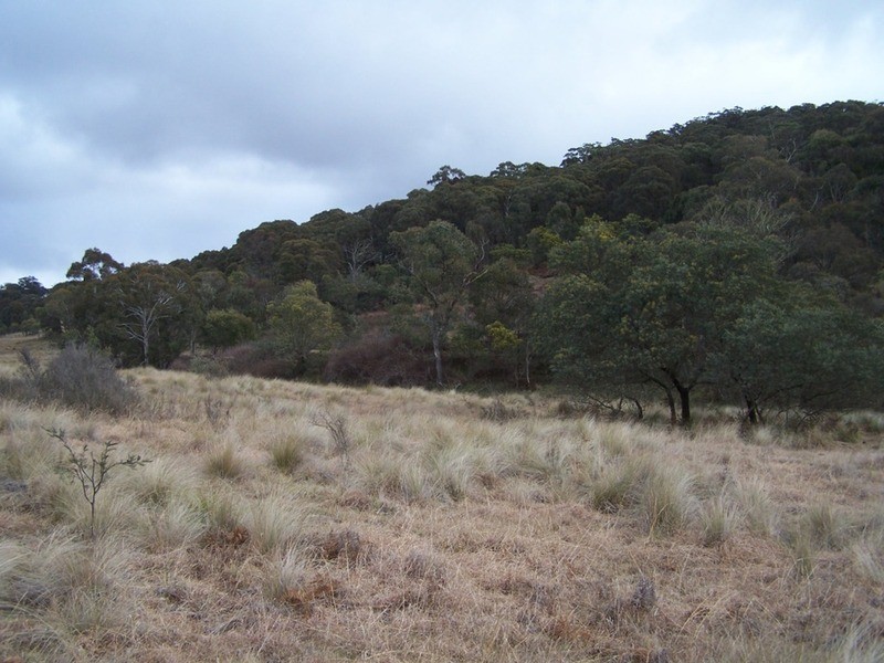 Lot 5 Jerrong Road, Taralga NSW 2580