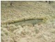 Lot 5 Jerrong Road, Taralga NSW 2580