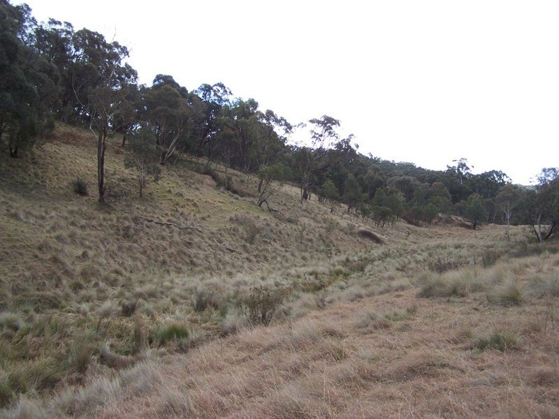 Lot 5 Jerrong Road, Taralga NSW 2580